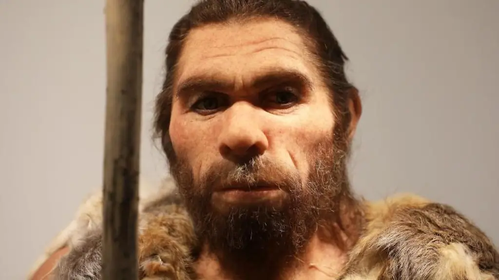 Neandertaler
