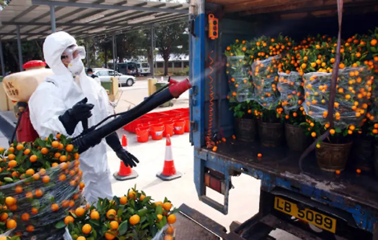 sondern-grosse-oekologische-und-materielle-Schaeden-anrichten-koennen