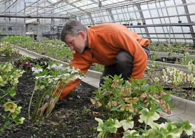 Auch-in-Gaertnereien-und-Gruenanlagen