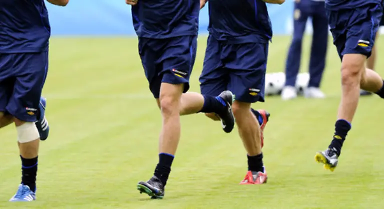 Nach-Angaben-der-Bild-Zeitung-sind-aber-auch-noch-vier-deutsche-EM-Teilnehmer-auf-dem-zwischengeschlechtlichen-Transfermarkt-zu-haben-Christoph-Metzelder-Per-Mertesacker-Clemens-Fritz-und-Thomas-Hitzlsperger