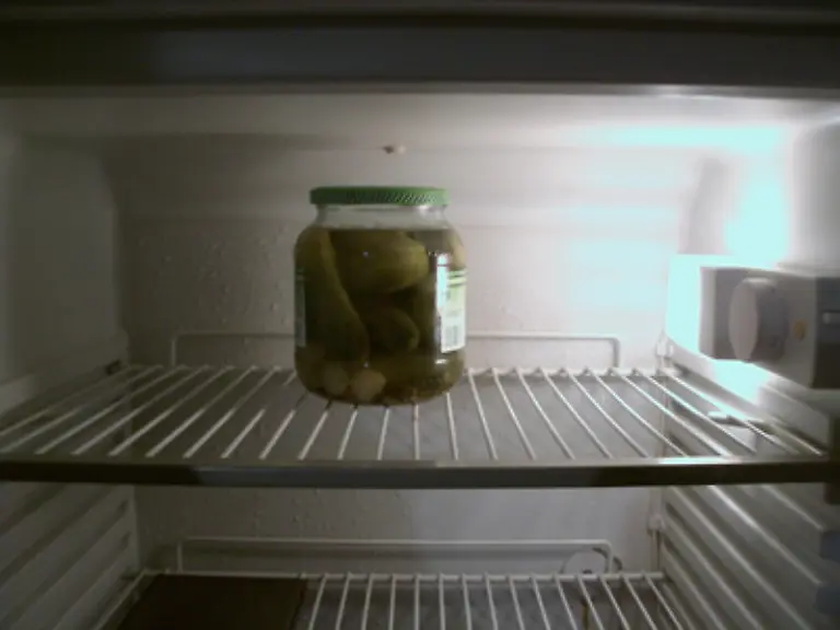 Ameisenhalter-mit-europaeischen-Arten-muessen-darauf-achten-dass-ihre-Tiere-von-Mitte-Oktober-bis-April-Winterruhe-halten-Dafuer-muss-das-Ameisenvolk-in-den-Kuehlschrank-oder-auf-den-Balkon-gestellt-werden