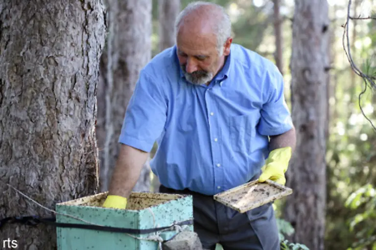 Die-Nester-der-Ameisen-sind-hochentwickelte-Bauten-die-ein-weitverzweigtes-System-aus-Gaengen-und-Kammern-besitzen