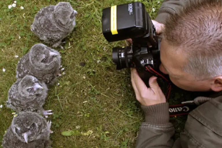 bringen-sich-in-Position