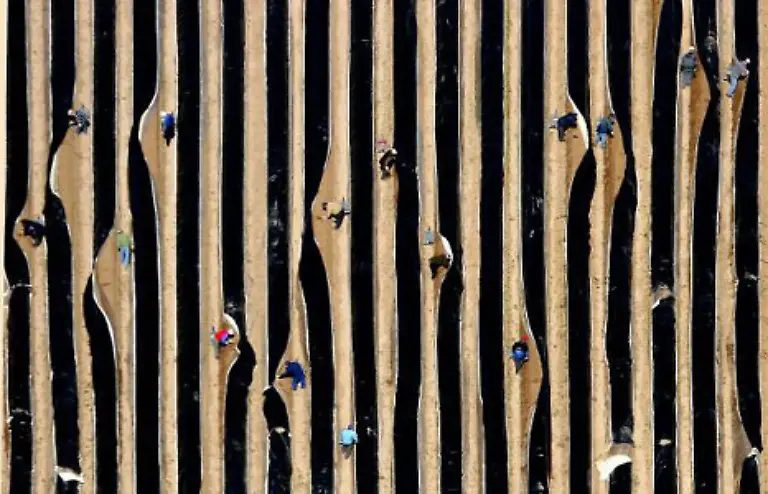 Aber-Wirtschaft-ist-nicht-nur-Chefsache-Michael-Hanschke-hat-am-28-Maerz-2005-auch-Saisonarbeiter-beim-Spargelstechen-in-Beelitz-ins-Visier-genommen