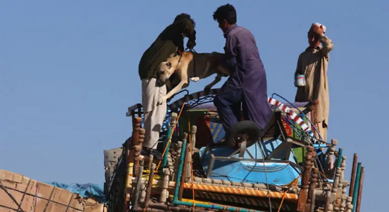Das-heisst-konkret-Politische-und-ethnische-Krisen