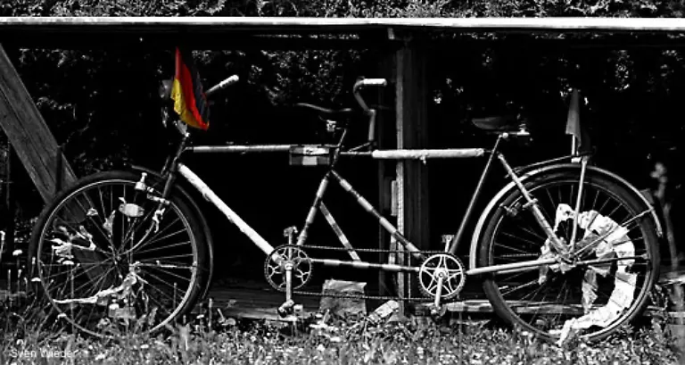 Sogar-ausgefallenere-Modelle-Liegt-sicher-auch-an-den-Spritpreisen