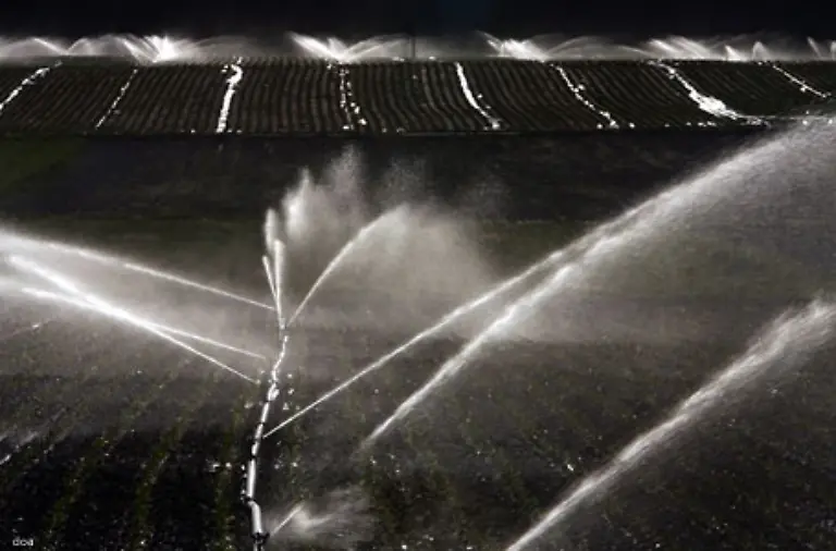 Im-Schnitt-verschlingt-die-Produktion-der-taeglichen-Nahrung-eines-Menschen-2000-bis-5000-Liter-Wasser-waehrend-fuer-elementare-Beduerfnisse-wie-Trinken-lediglich-4-Liter-Wasser-benoetigt-werden
