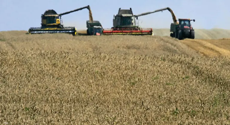 Wer-ein-Kilo-Getreide-isst-verbraucht-insgesamt-1000-Liter-Wasser-die-dieses-Getreide-wachsen-liessen