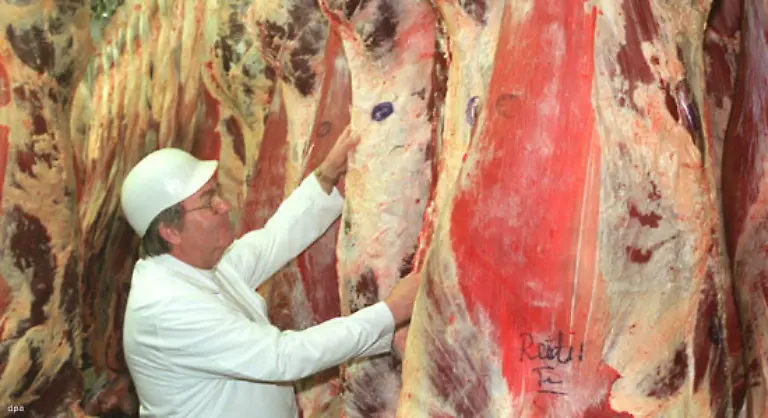 beim-Verzehr-von-einem-Kilo-Rindfleisch-betraegt-der-Verbrauch-sogar-13-000-Liter-an-verstecktem-oder-virtuellem-Wasser-sagt-Daniel-Zimmer-Direktor-des-World-Water-Council