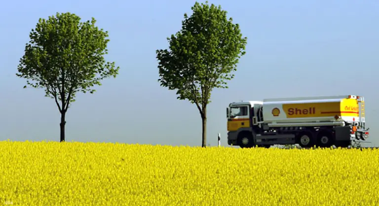 Er-warnt-daher-davor-nun-auch-noch-Pflanzen-wie-Zuckerrohr-Raps-oder-Eukalyptus-gezielt-zur-Produktion-von-Agrosprit-anzubauen-Eine-solche-Rechnung-koenne-nicht-aufgehen