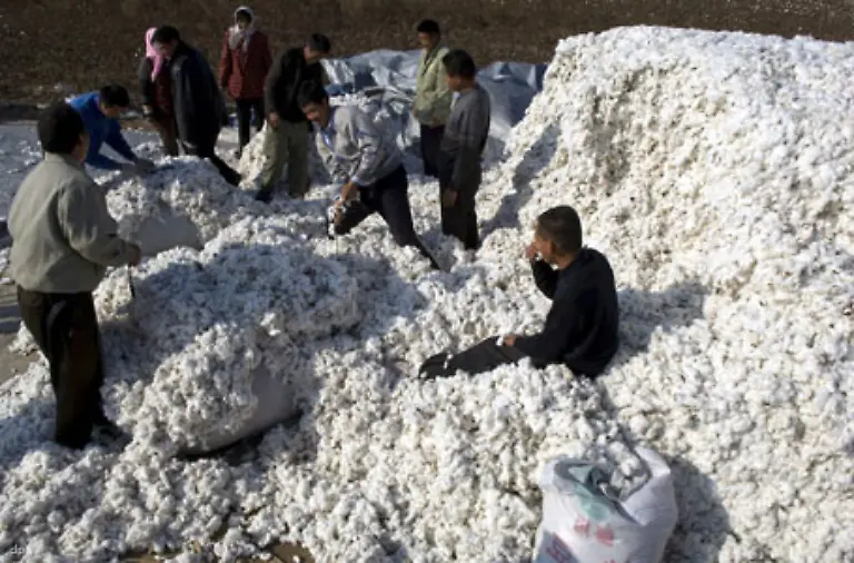 die-Herstellung-eines-T-Shirts-bis-zu-20-000-Liter-Wasser