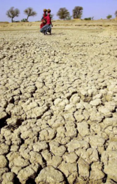 Ausserdem-kommt-es-zu-immer-gravierenderen-Duerren