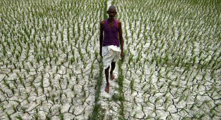 Wesentlich-dramatischer-noch-fordern-durch-den-Klimawandel-bedingte-Duerren-in-Asien-ihren-Tribut