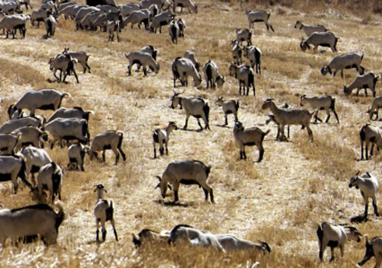 In-Griechenland-Italien-Portugal-und-Spanien-sinkt-der-Grundwasserspiegel-unzaehlige-kleine-Fluesse-sind-weltweit-versiegt