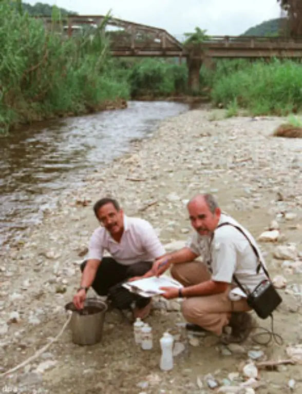Dies-sehen-inzwischen-nicht-nur-Umweltaktivisten-und-Globalisierungskritiker-so-sondern-zunehmend-auch-Politiker-und-fuehrende-Wirtschaftsunternehmer
