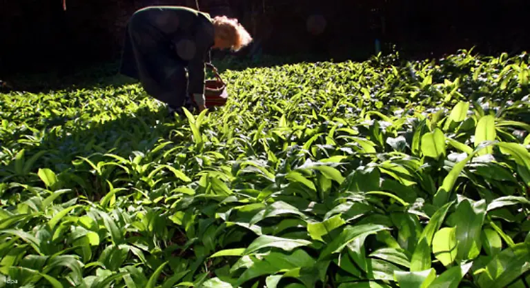 Auch-die-mehrfache-Nutzung-des-abfliessenden-Wassers-und-die-Umstellung-des-Anbaus-auf-weniger-wasseraufwendige-Kulturen-koennten-zu-enormen-Einsparungen-fuehren
