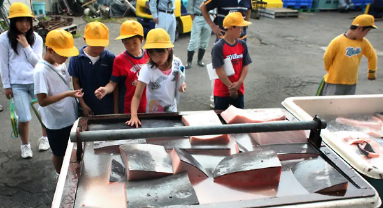 So-beteuert-Japan-seit-Jahren-Wale-tatsaechlich-nur-fuer-wissenschaftliche-Zwecke-zu-jagen