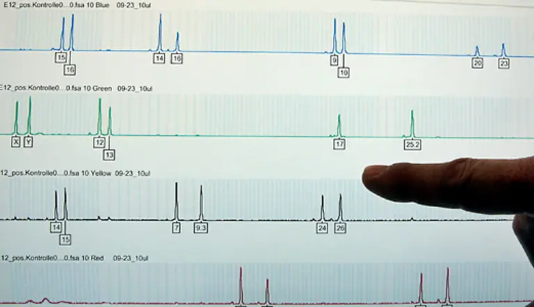 Tierschuetzer-konnten-anhand-von-DNA-Proben-nachweisen-dass-die-offiziellen-Walfangzahlen-der-japanischen-Regierung-nicht-mit-den-Zahlen-tatsaechlich-gefangener-Tieren-uebereinstimmten