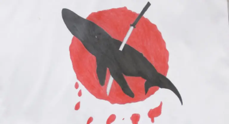 Trotz-internationalen-Drucks