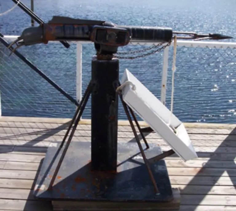 Die-Tiere-die-mit-einer-Harpune-angeschossen-werden-muessen-einen-langen-Todeskampf-fuehren