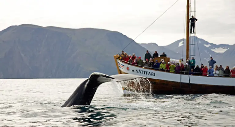 Lateinamerika-geht-mit-gutem-Beispiel-voran-Zahlreiche-Laender-des-Kontinents-setzen-auf-touristische-Aspekte-und-foerdern-die-Beobachtung-der-Tiere-als-Naturerlebnis