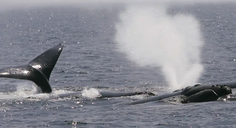 Einer-Studie-zufolge-konnten-so-die-Einnahmen-aus-dem-Tourismus-um-das-Achtfache-gesteigert-werden