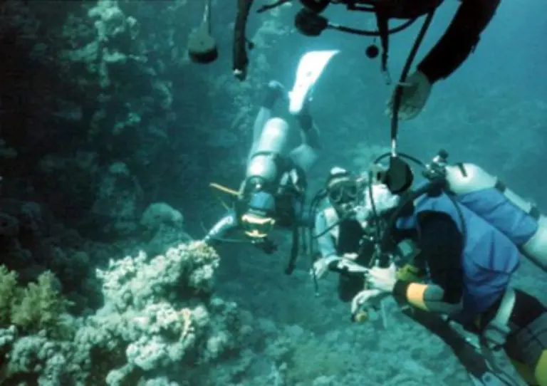 Muessten-die-Reisenden-im-angebotenen-Domizil-Abstriche-in-Kauf-nehmen-koennen-sie-darueber-hinaus-auch-Schadenersatz-fordern-So-sprach-der-Bundesgerichtshof-einem-Ehepaar-die-Haelfte-des-Reisepreises-zu-weil-sie-beim-neuen-Hotel-nicht-tauchen-konnten