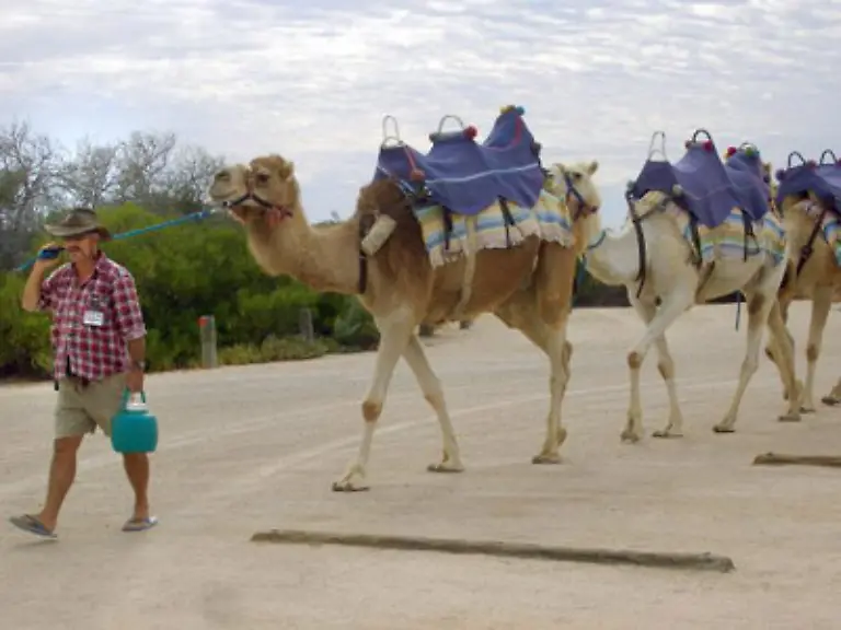 Nur-wenn-der-Anbieter-eine-konkrete-Entfernung-angegeben-hat-koennen-Sie-etwa-fuenf-Prozent-geltend-machen-falls-Sie-bedeutend-laenger-unterwegs-sind