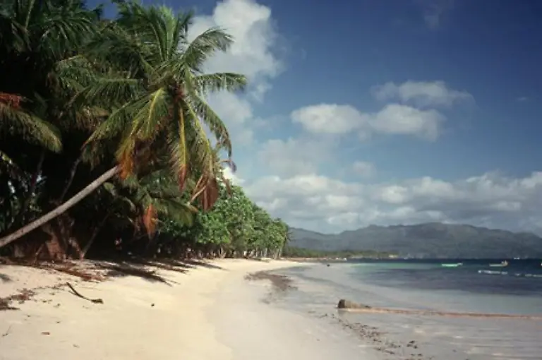 Manch-ein-Urlauber-waere-ja-schon-froh-wenn-er-ueberhaupt-einen-Strand-finden-wuerde-So-etwa-das-Ehepaar-das-fuer-8000-Euro-einen-traumhaften-Privatstrand-auf-der-Karibikinsel-Tobago-gebucht-hatte