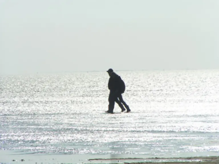 Auch-wenn-der-versprochene-Traumstrand-entweder-von-der-Flut-ueberschwemmt-ist-oder-bei-Ebbe-verschwindet-ist-das-kein-Grund-zur-sofortigen-Abreise-Dieser-Mangel-ist-zwar-erheblich-rechtfertigt-aber-noch-keinen-Schadensersatz