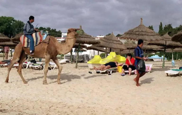 Mit-Tier-Dung-am-Strand-braucht-ein-auslandsunerfahrener-Urlauber-dagegen-nicht-rechnen-Wer-sein-Handtuch-zwischen-Kamelkoetteln-und-Pferdeaepfeln-ausbreiten-muss-kann-den-Reisepreis-mindern