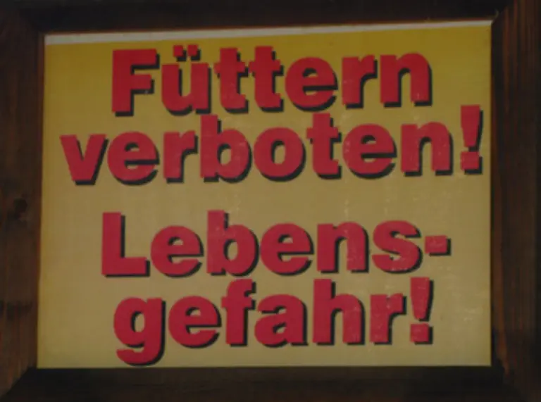 Einen-Anspruch-auf-Zugang-zum-Speisesaal-hat-der-Hund-jedenfalls-nicht-Die-Ruecksicht-auf-hygienische-Beduerfnisse-anderer-Gaeste-geht-vor