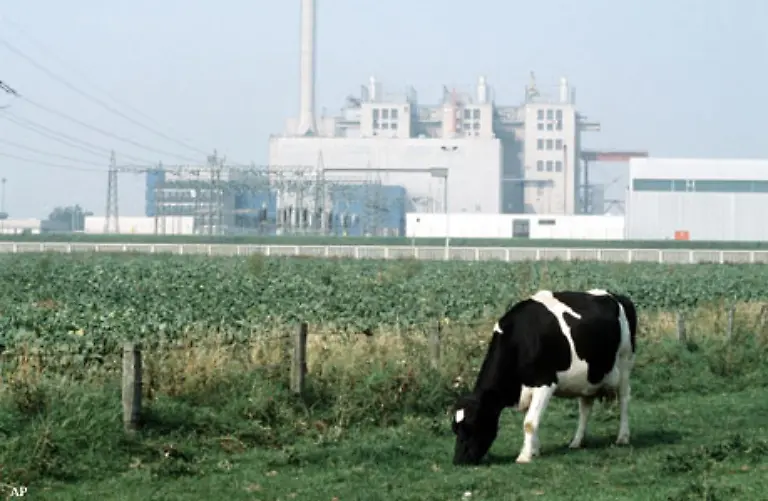 Doch-Anfang-der-80er-Jahre-begann-ein-rasanter-Preisverfall-Denn-die-Industriestaaten-waren-in-eine-Rezession-geschlittert-damit-sank-die-Nachfrage-Ausserdem-investierte-der-Westen-in-alternative-Energien