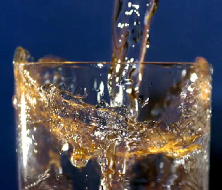 Trinken-Sie-vor-allem-viel-stilles-Wasser-Text-J-Koehler-Fachliche-Beratung-Prof-Susanne-Klaus-Deutsches-Institut-fuer-Ernaehrungsforschung-Potsdam