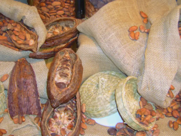 Dunkle-Schokolade-schmeckt-durch-ihren-hoeheren-Kakaoanteil-allerdings-bitterer-als-helle-Schokolade-so-dass-die-meisten-Menschen-davon-weniger-essen-Dem-Kakao-werden-ausserdem-guenstige-Eigenschaften-fuer-den-menschlichen-Koerper-zugeschrieben