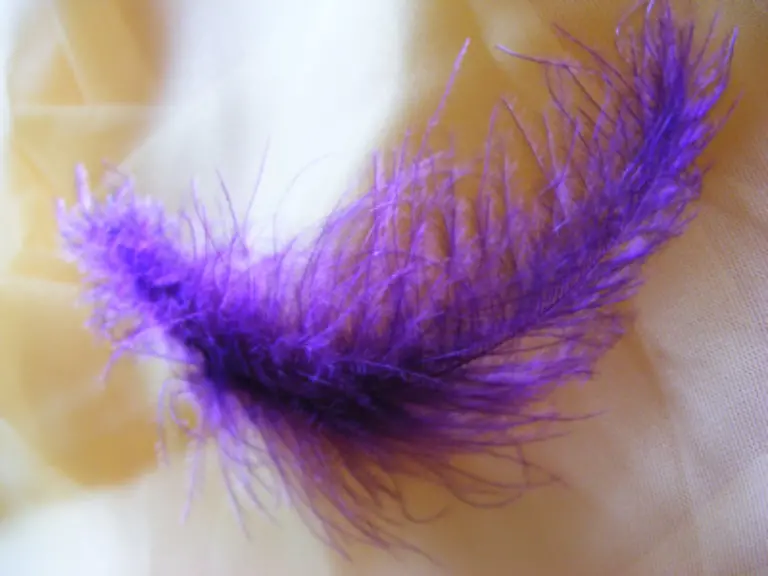 Die-psychologische-Falle-liegt-darin-dass-viele-Menschen-glauben-von-Light-Produkten-mehr-essen-zu-koennen-als-sonst-Doch-Lightprodukte-sind-haeufig-richtige-Mogelpackungen