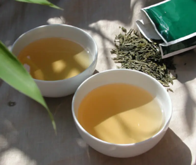 Aber-die-Kombination-zwischen-Koffein-und-Katechinen-kann-dazu-beitragen-dass-der-Stoffwechsel-angekurbelt-wird-Zudem-hat-ungesuesster-Tee-auch-keine-Kalorien