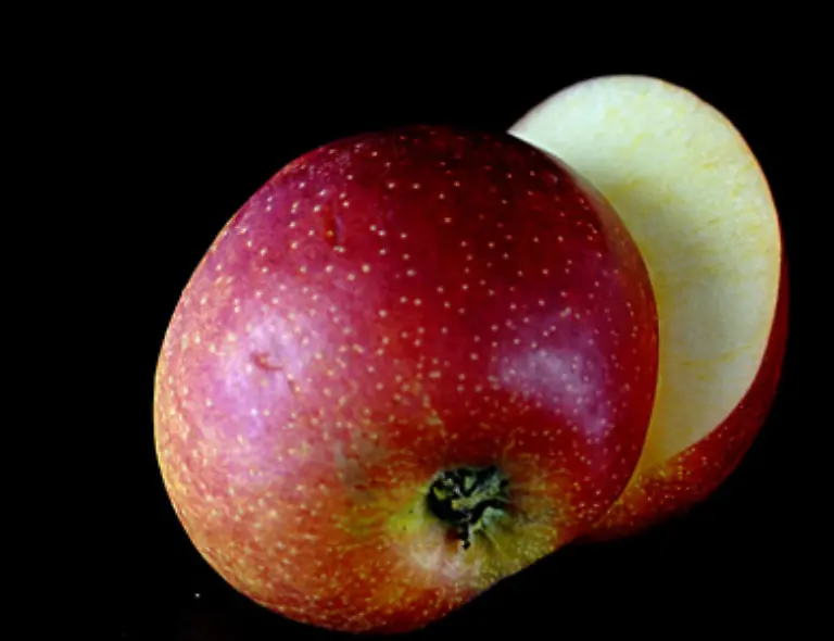 Eine-Halbierung-der-bisherigen-Nahrung-kann-zudem-nicht-dauerhaft-durchgehalten-werden-Abnehmwillige-sollten-langfristig-lernen-mehr-ballaststoffreiche-und-gesunde-Nahrung-als-bisher-zu-sich-zu-nehmen