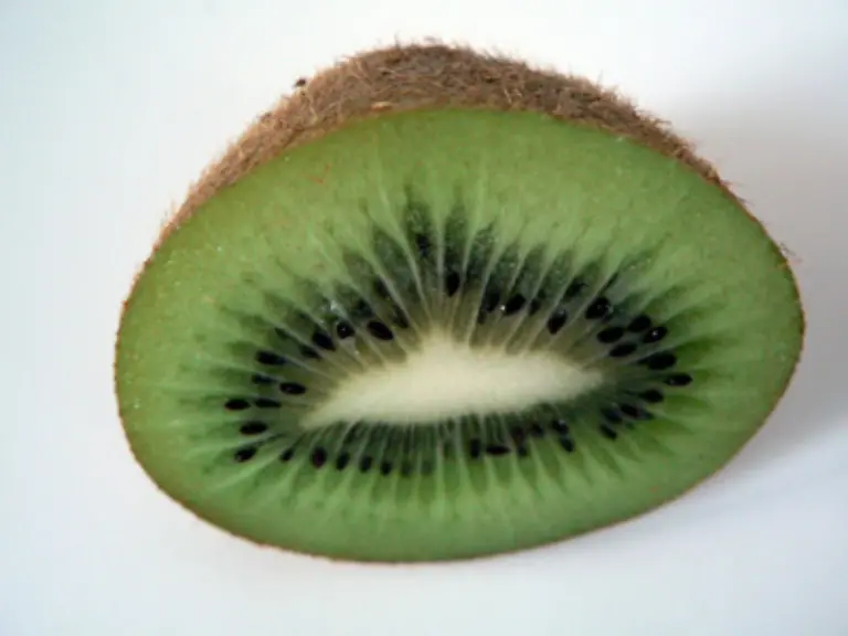 dass-die-bisherige-zumeist-falsche-Nahrungszusammensetzung-beibehalten-wird-und-die-Halbierung-zu-Mangelerscheinungen-und-Heisshunger-sowie-daraus-folgenden-Fressattacken-fuehren-kann