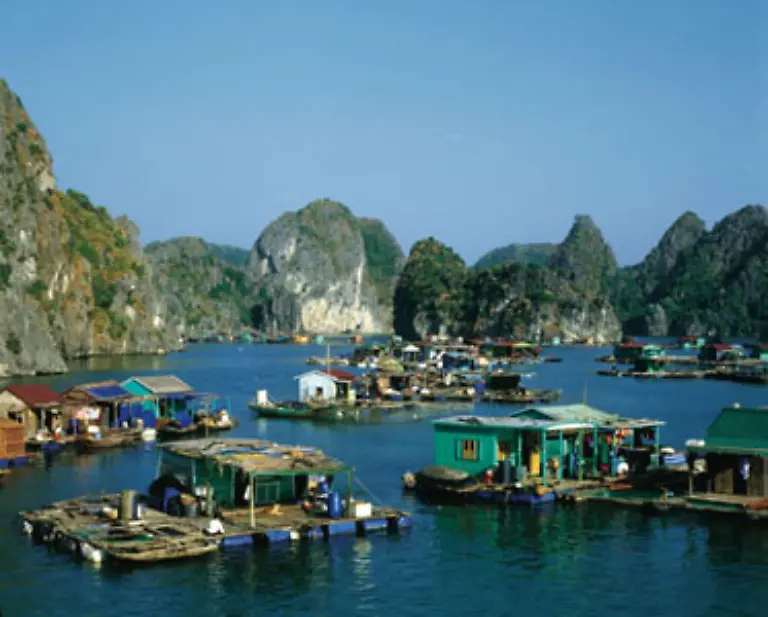 Die-Halong-Bucht-in-Vietnam-fasziniert-durch-fast-2000-Kalkfelsen-und-Inseln-Das-Kalksteinplateau-auf-dem-die-Bucht-beheimatet-ist-versinkt-jedoch-im-Meer