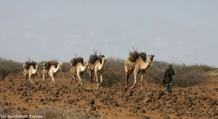 Die-Vereinten-Nationen-definieren-Desertifikation-als-Landveroedung-in-ariden-semiariden-und-trockenen-subhumiden-Gebieten-infolge-verschiedener-Faktoren-einschliesslich-Klimaschwankungen-und-menschlicher-Taetigkeiten