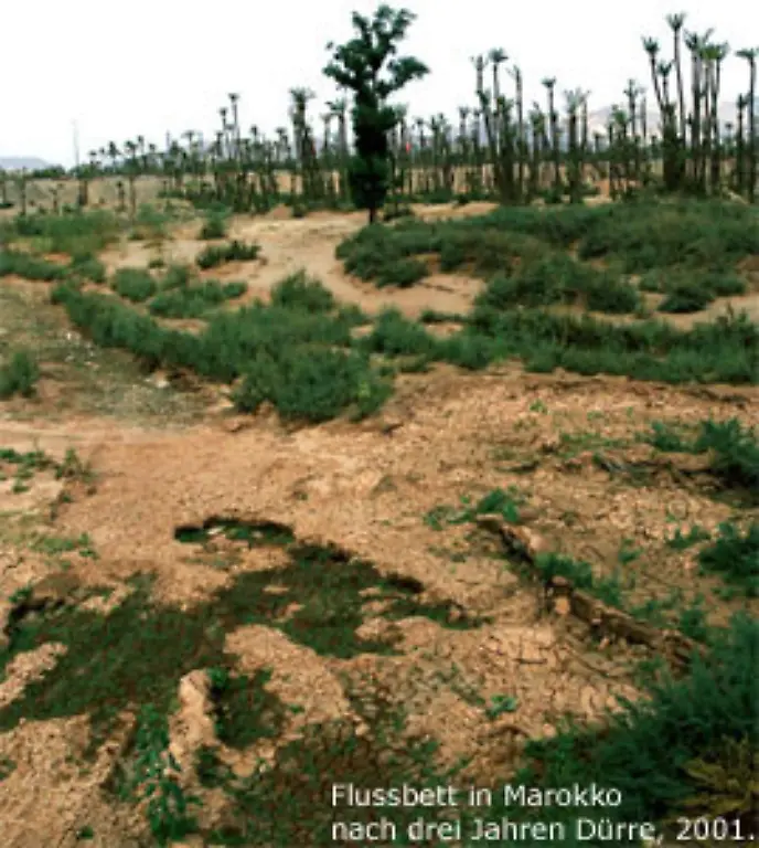 Wuestenbildung-betrifft-vor-allem-Gebiete-die-ohnehin-relativ-trocken-sind-Im-Gegensatz-zur-Desertifikation-sind-Duerren-kein-dauerhaftes-Phaenomen-auf-eine-Duerre-kann-eine-fruchtbare-Zeit-folgen-Duerren-verstaerken-jedoch-die-Wuestenbildung