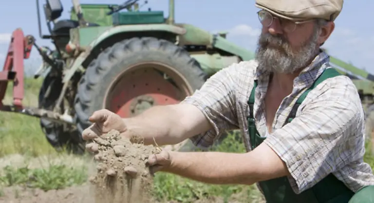 Auch-in-Deutschland-ist-Bodenerosion-und-Trockenheit-ein-zunehmendes-Problem-Hier-ist-meist-von-Versteppung-die-Rede-Auch-bei-uns-sind-vor-allem-Regionen-betroffen-die-ohnehin-relativ-trocken-sind-etwa-Brandenburg