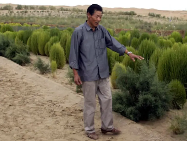 Die-UN-nennen-die-Wuestenbildung-die-groesste-oekologische-Herausforderung-unserer-Zeit-Denn-Wuestenbildung-ist-kaum-rueckgaengig-zu-machen