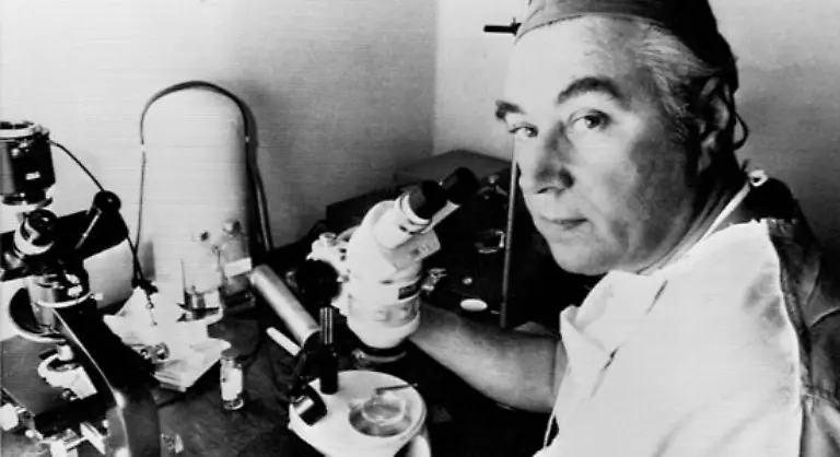 Den-Fortpflanzungsmedizinern-gelang-die-Verschmelzung-von-Samen-und-Eizelle-im-Labor-und-Lesley-Brown-wurde-als-erste-Frau-durch-die-Einpflanzung-dieser-befruchteten-Eizelle-schwanger