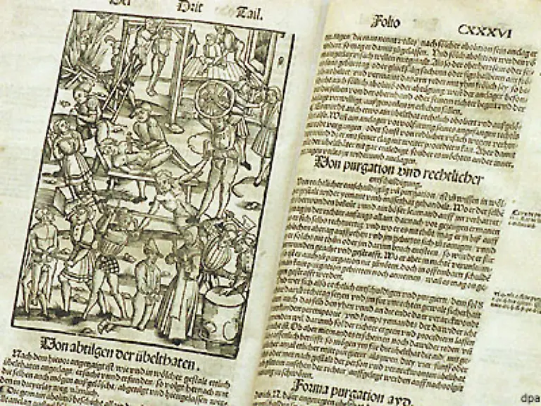 Aufzeichnungen-ueber-Hexenprozesse-belegen-dass-Bilsenkraut-von-den-Hexen-als-Flugsalbe-benutzt-wurde-um-zum-Teufel-auf-den-Blocksberg-zu-fliegen