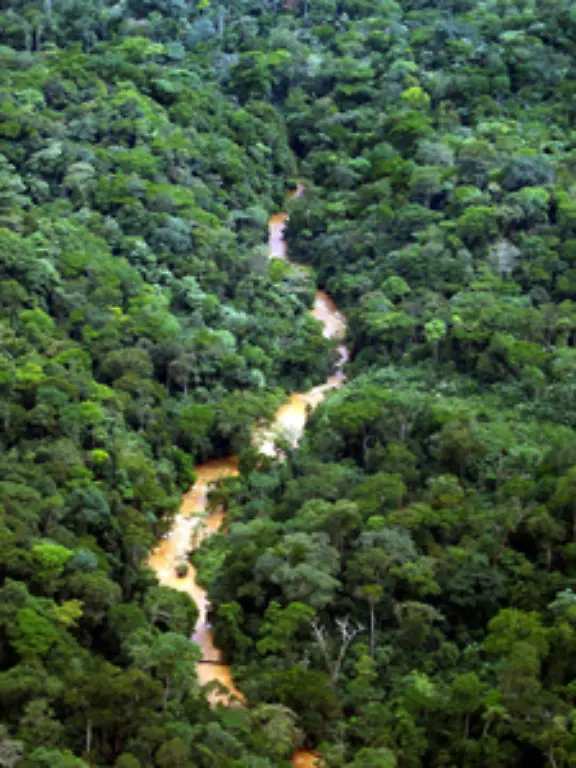 Jedoch-tritt-schnell-die-wirtschaftliche-Ausbeutung-des-Kongo-in-den-Vordergrund-Der-Osten-des-Landes-ist-rohstoffreich-Neben-Gold-und-Diamanten