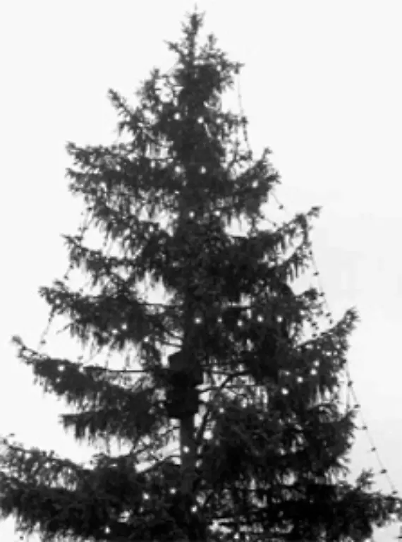 Erst-das-Passierscheinabkommen-von-1963-macht-die-Mauer-ein-wenig-durchlaessiger-Westberlinern-ist-es-nun-erlaubt-zumindest-am-Jahresende-im-Osten-ihre-Verwandten-zu-besuchen