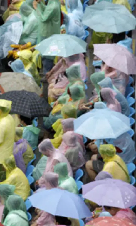 Gerne-auch-in-Kombination-mit-Regenschirmen