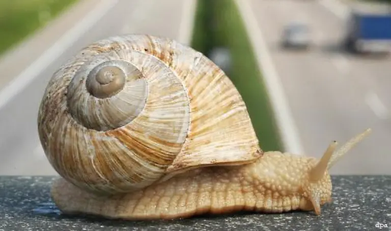 Oha-versehentlich-den-Blinker-erwischt-Lieber-Finger-weg-von-der-Schaltung-auch-wenn-ich-dann-nicht-immer-richtig-aus-den-Puschen-komme